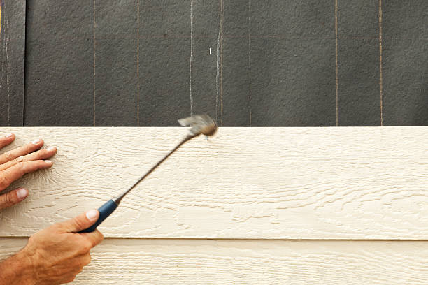 Best Steel Siding Installation  in Marine City, MI